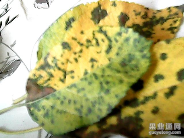图片 009.jpg
