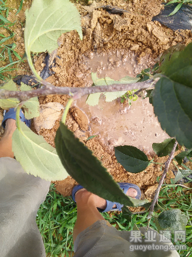 IMG20150809151209.jpg
