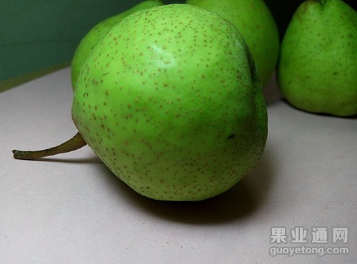 QQ图片20150810093702_副本.jpg