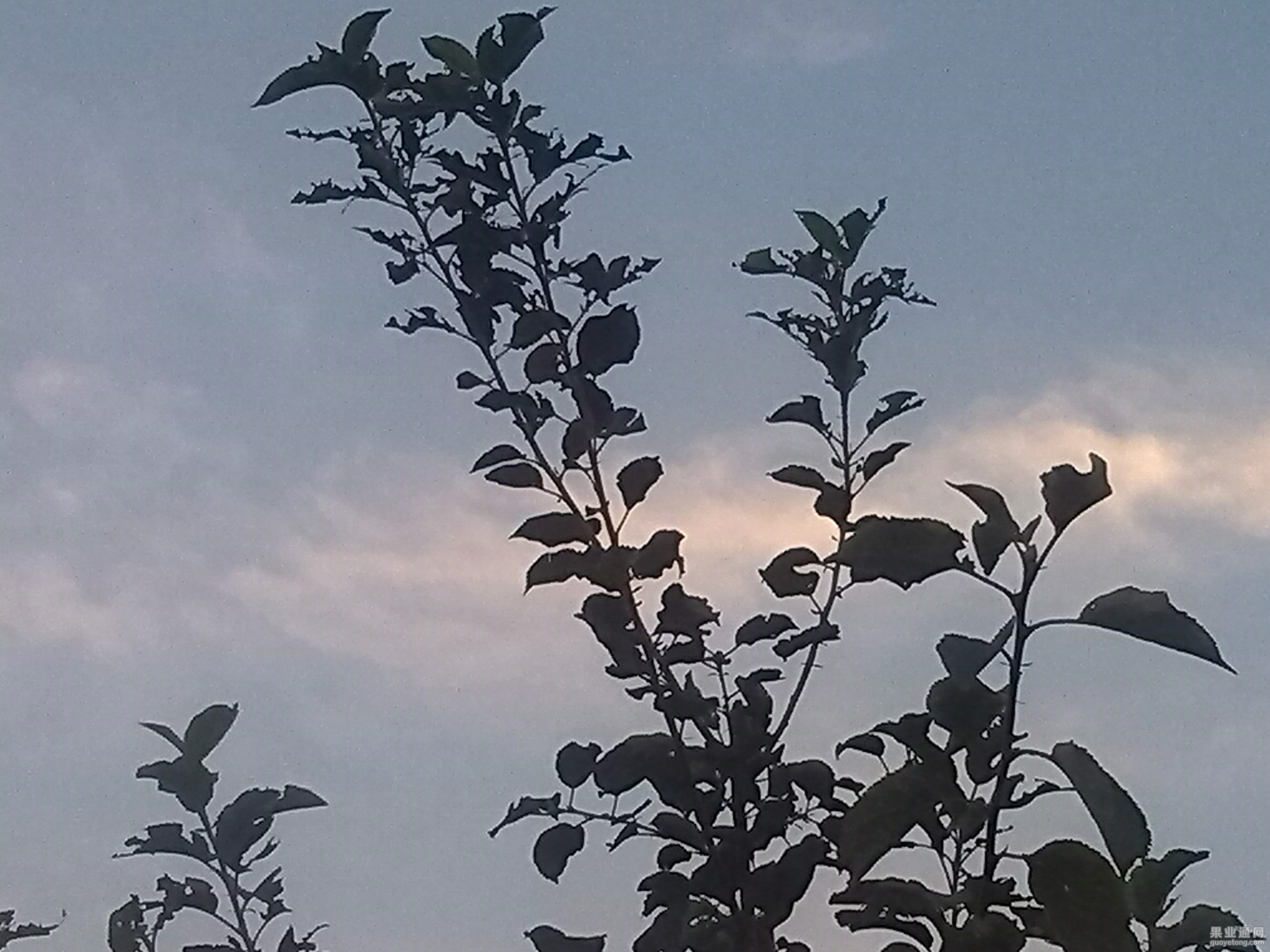 IMG_20150814_184343.jpg