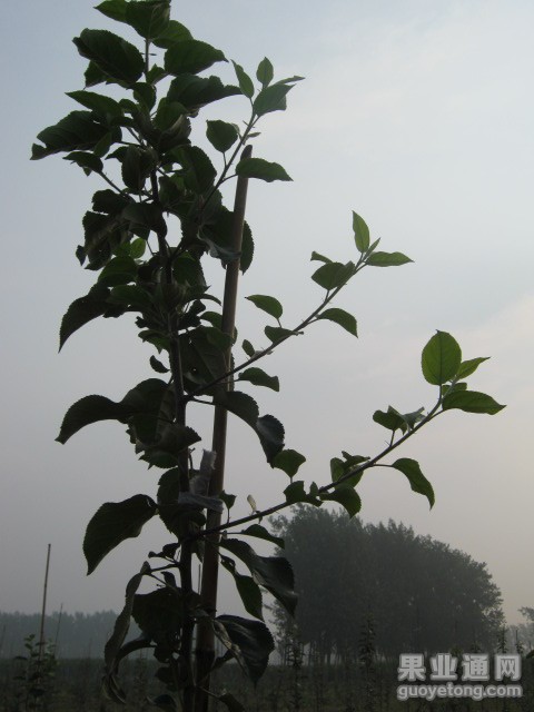 009.JPG