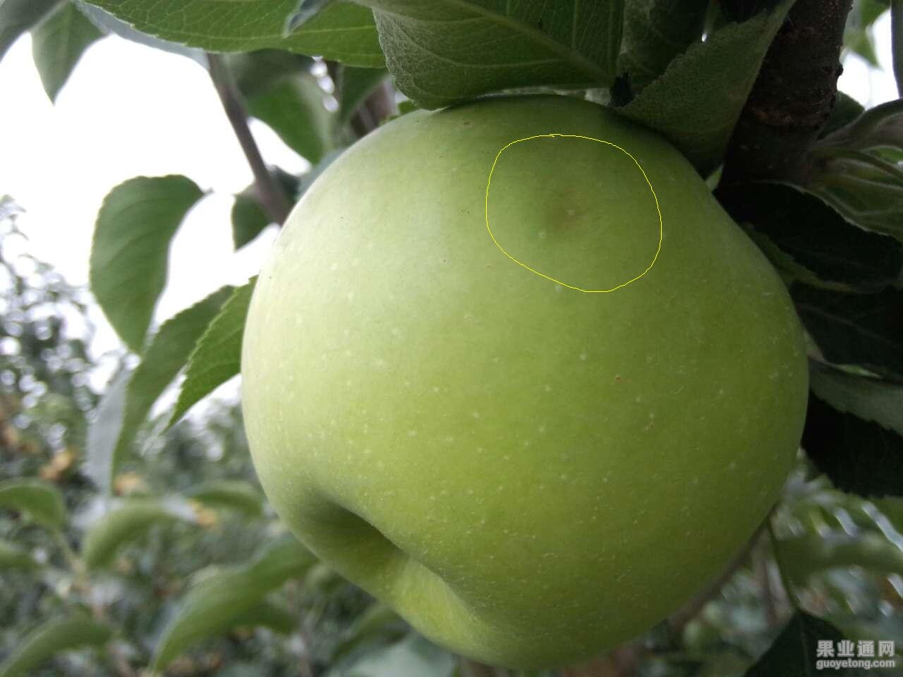 01.JPG