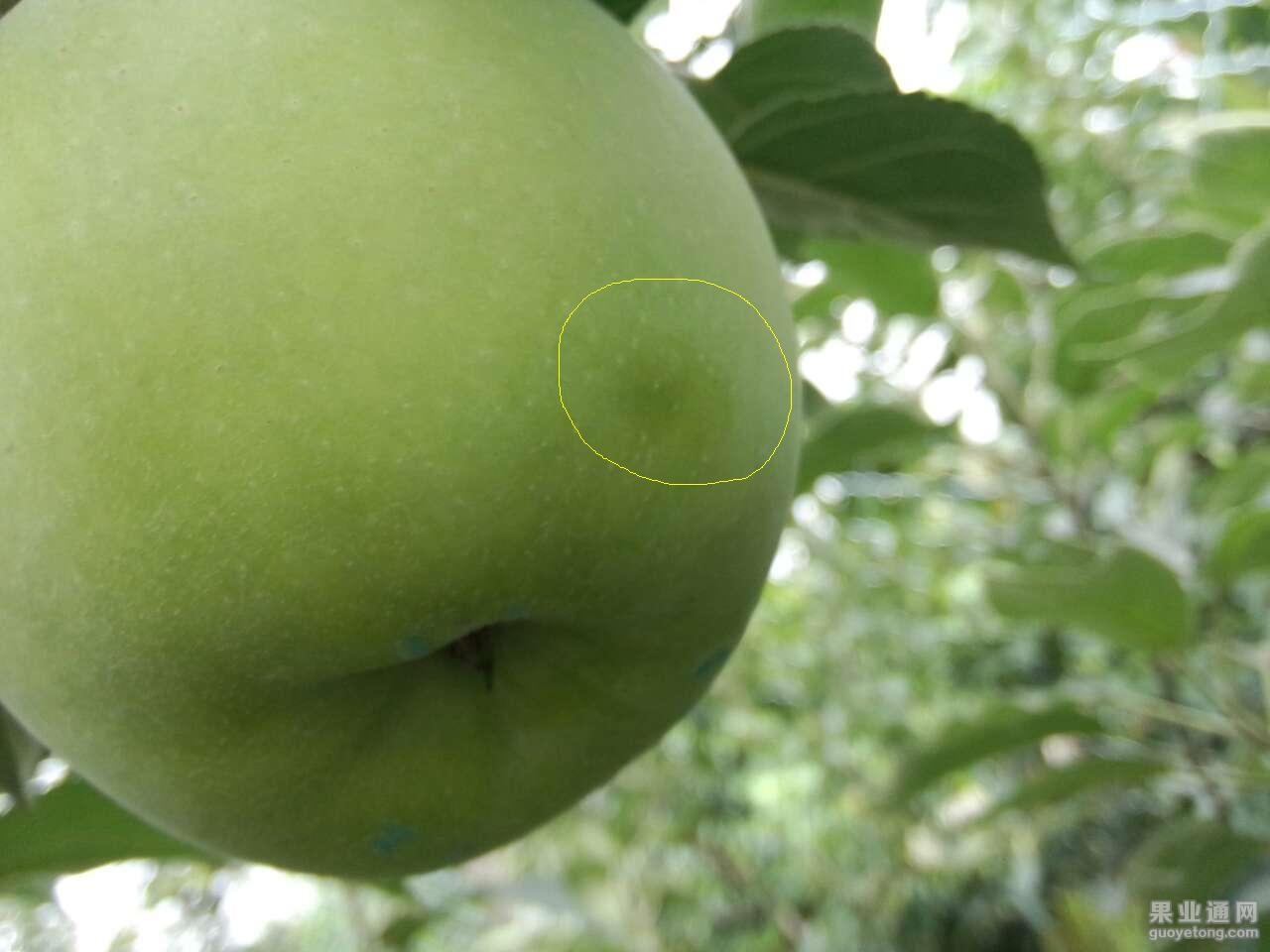 02.JPG