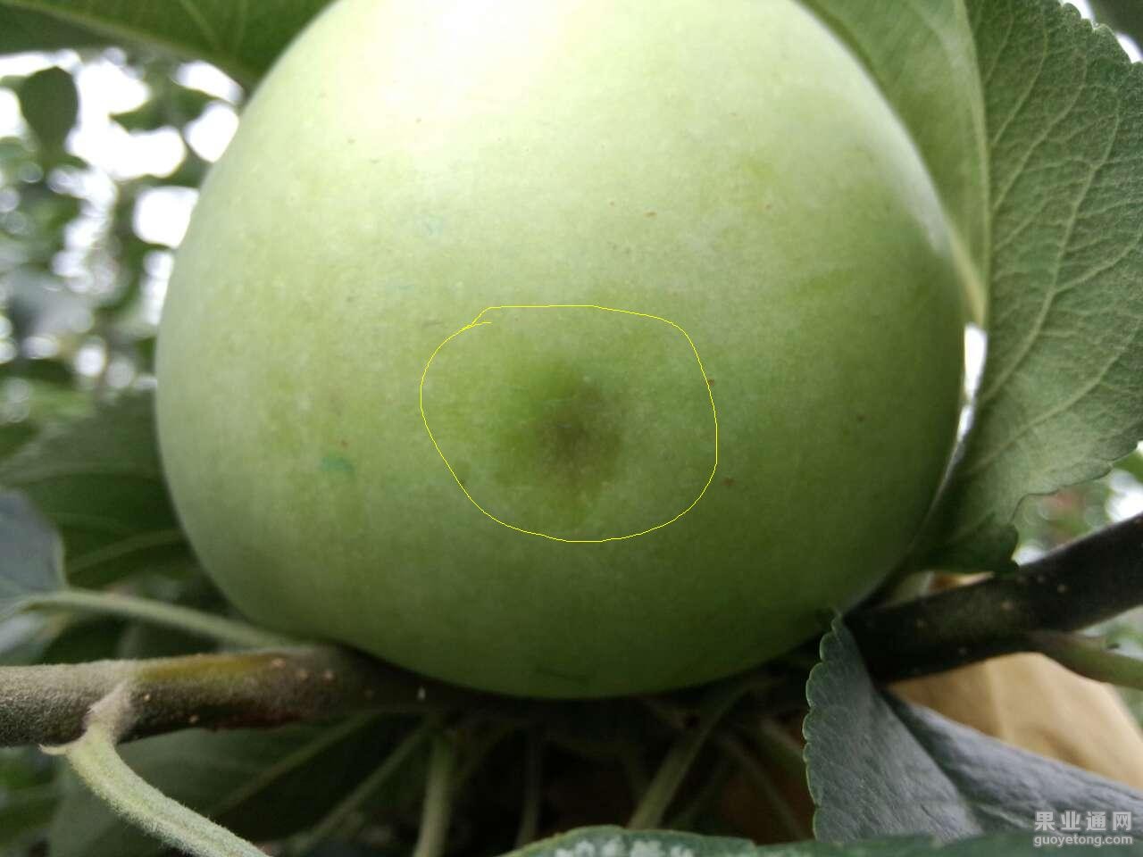 05.JPG