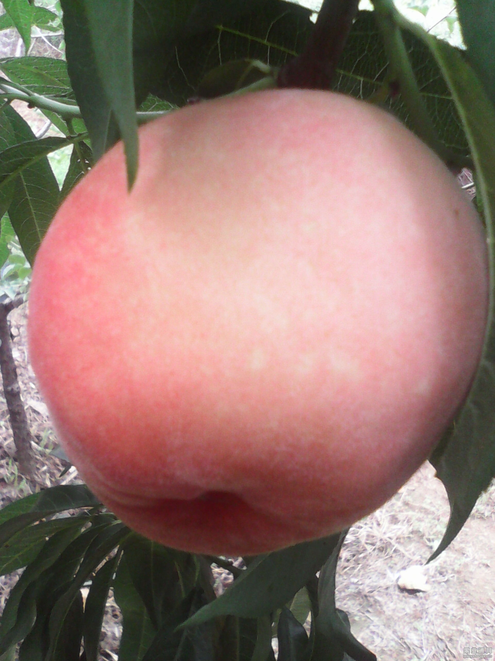 IMG_20130605_090101.jpg