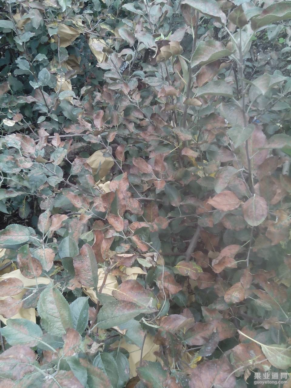 092745izem7zdr7qdjre85.jpg