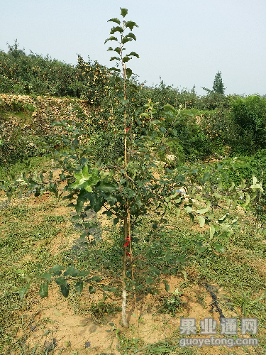 20150817_090934.jpg