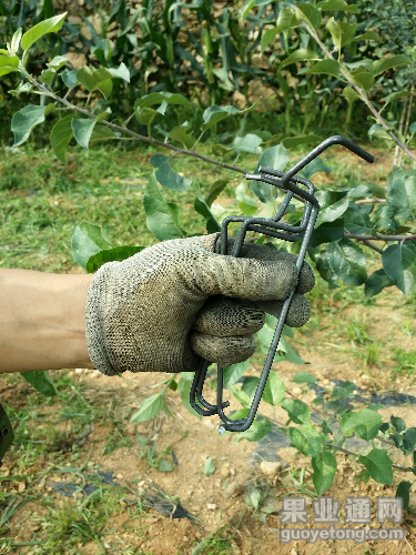 20150817_082503.jpg