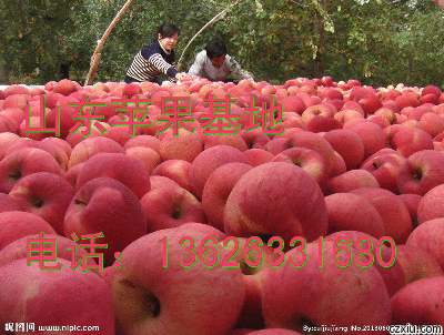 QQ图片20150626173549.gif