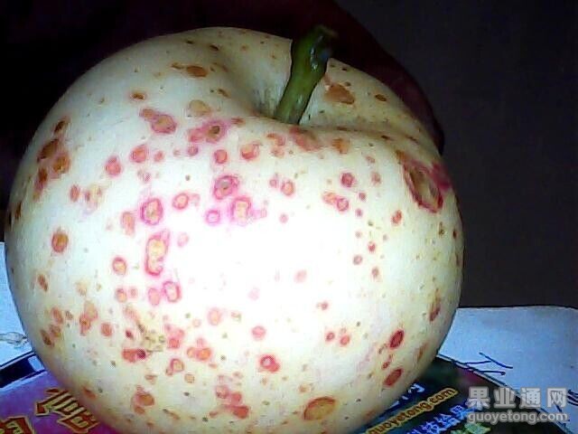 QQ图片20150819203318.jpg