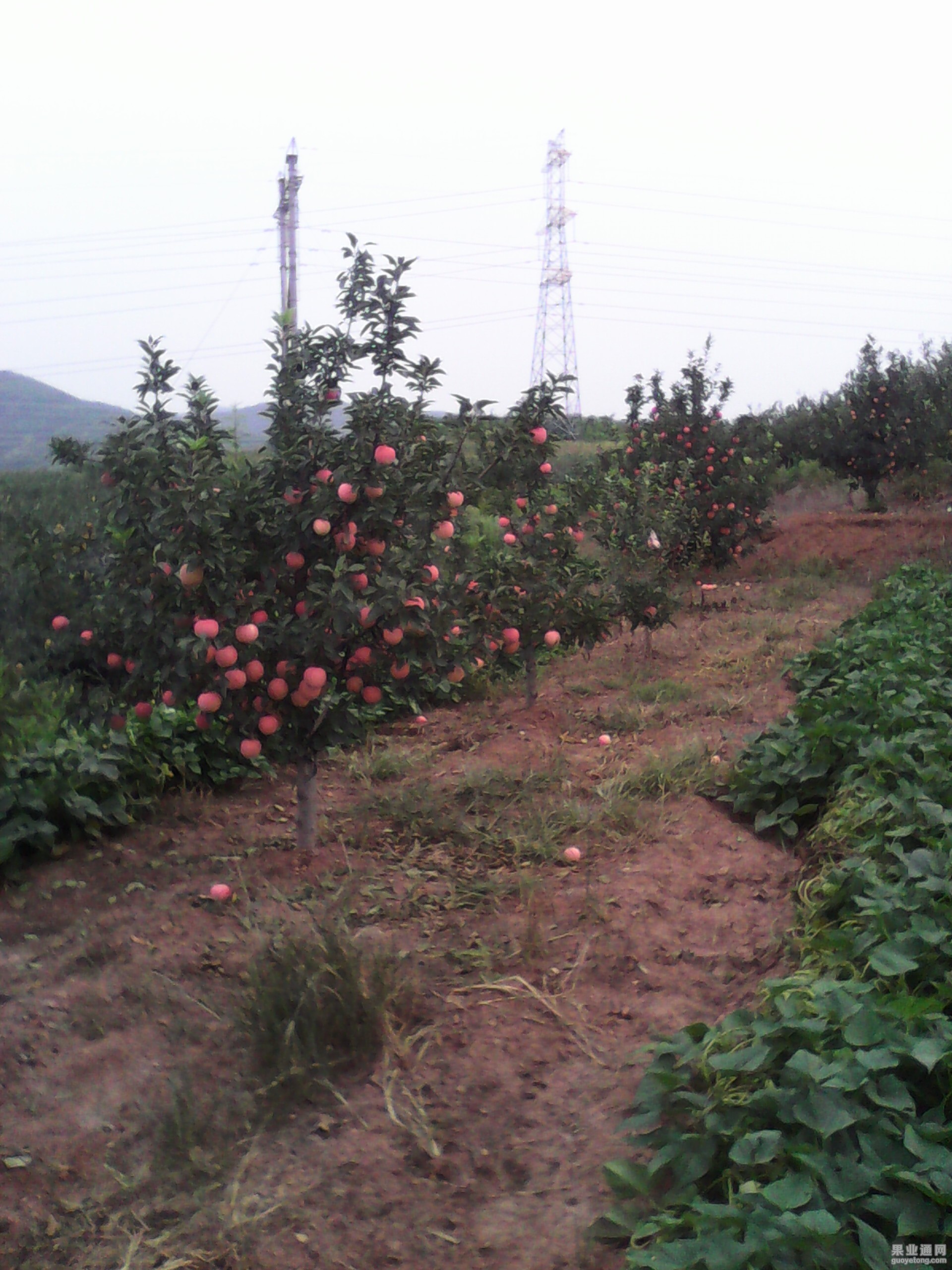 IMG_20130604_165345.jpg