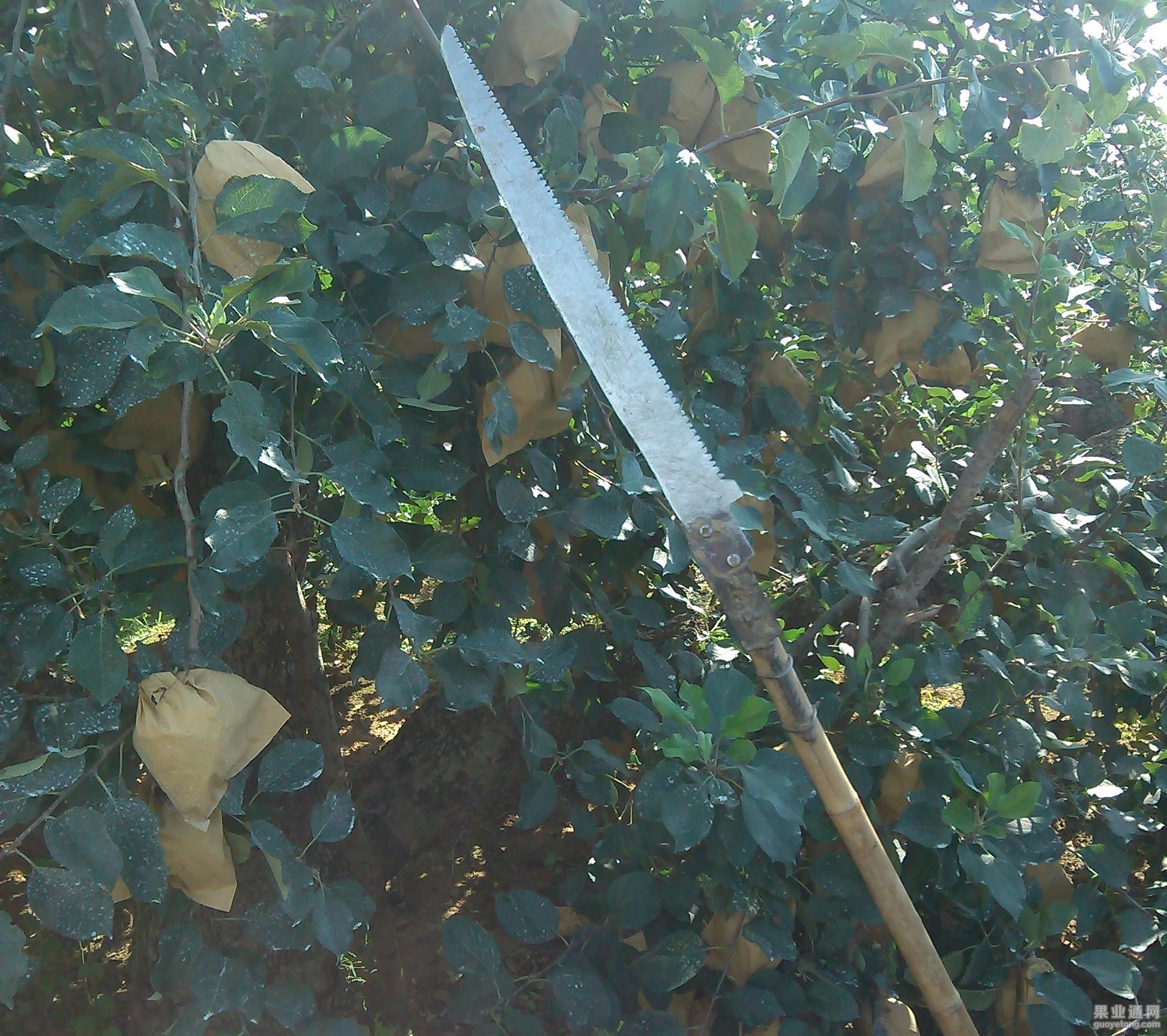 神器背部