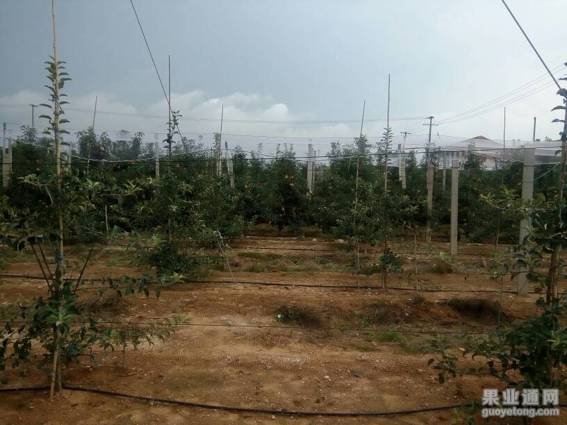 232106fv9avc8dhhao484c.jpg