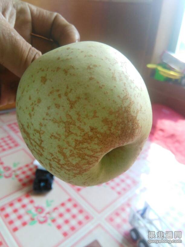 103930topybvo3ydn1kg3y.jpg