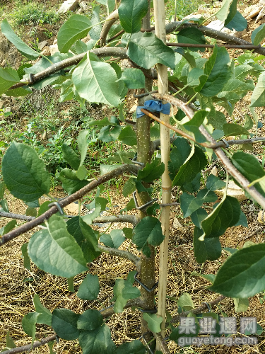 20150830_081410.jpg
