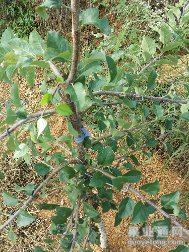 20150830_080824.jpg