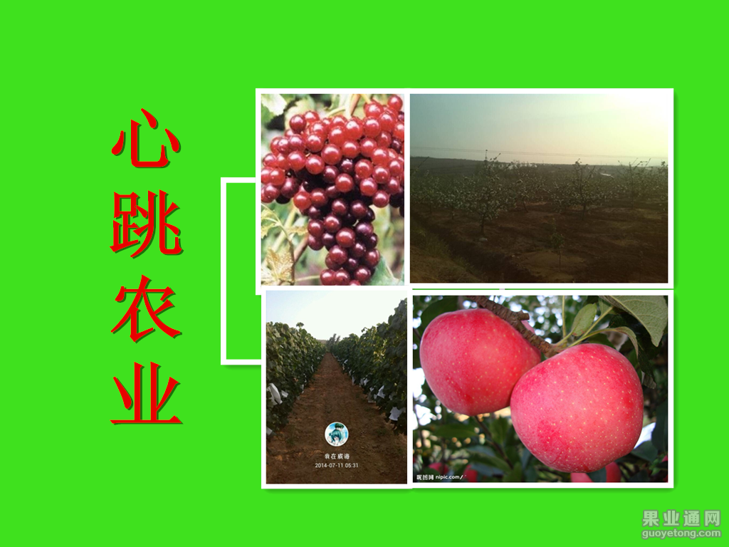 未命名_副本.png