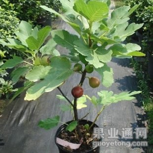 6f594e3209db136f0343ca870fb86c13 - 副本.jpg