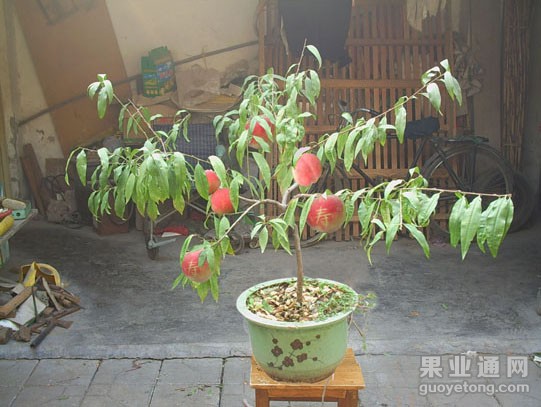 2010623825100 - 副本.jpg