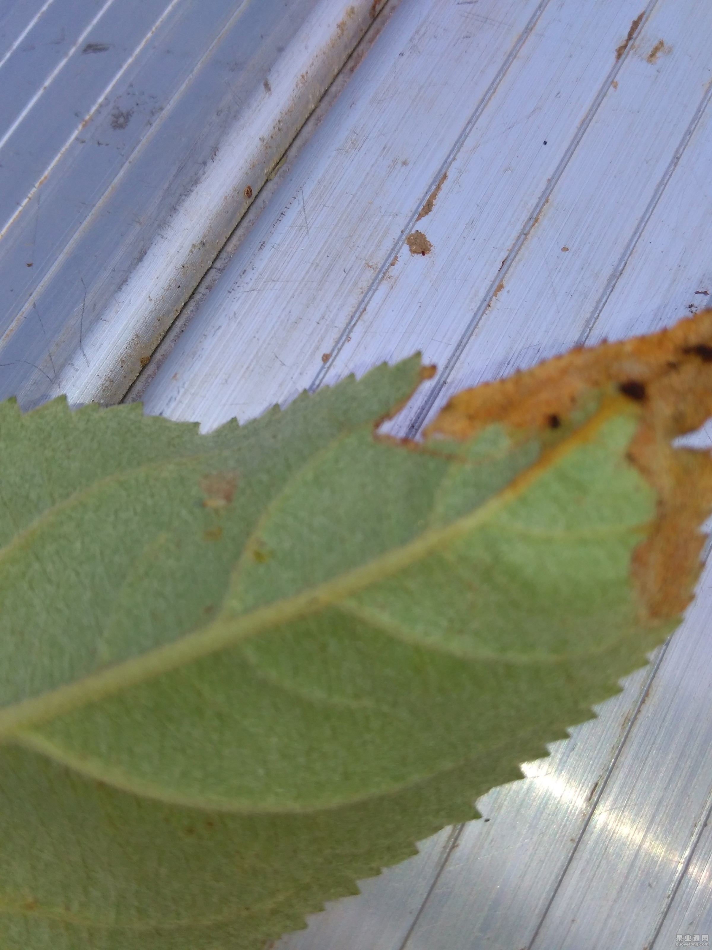 IMG_20150831_093514.jpg