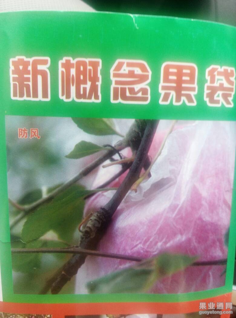 124858hcw1xsdc6g0lxc6b.jpg
