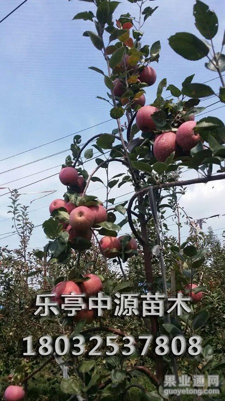 psb_副本.jpg