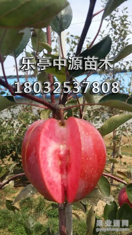 psb (5)_副本.jpg
