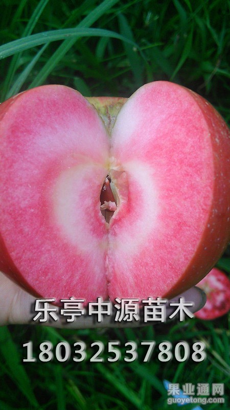 IMG_20150828_131239_副本.jpg