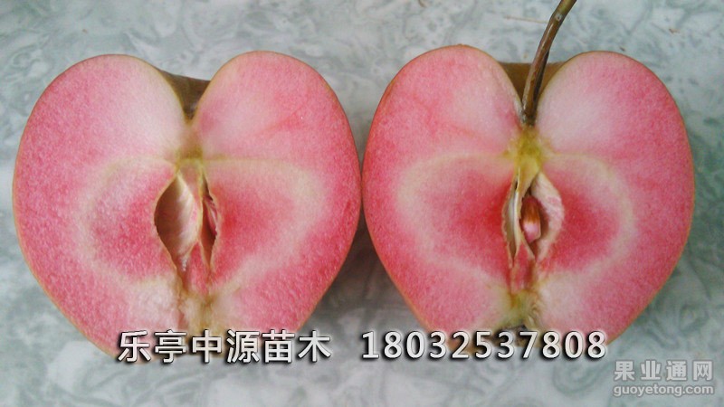 IMG_20150817_131232_副本.jpg