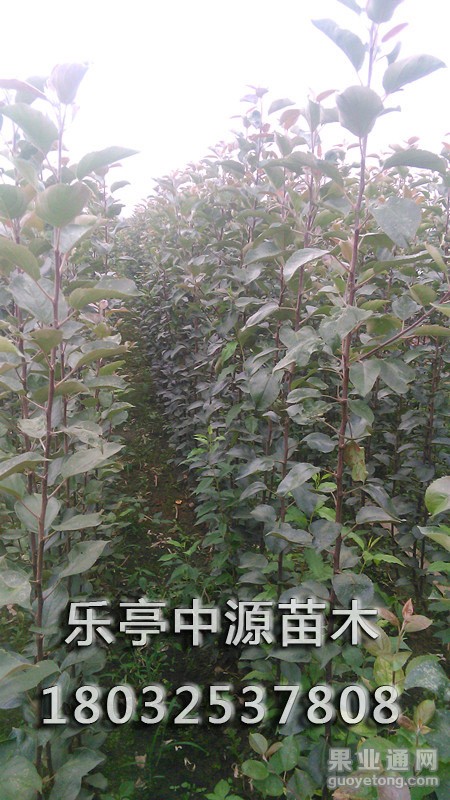 IMG_20150822_171458_副本.jpg