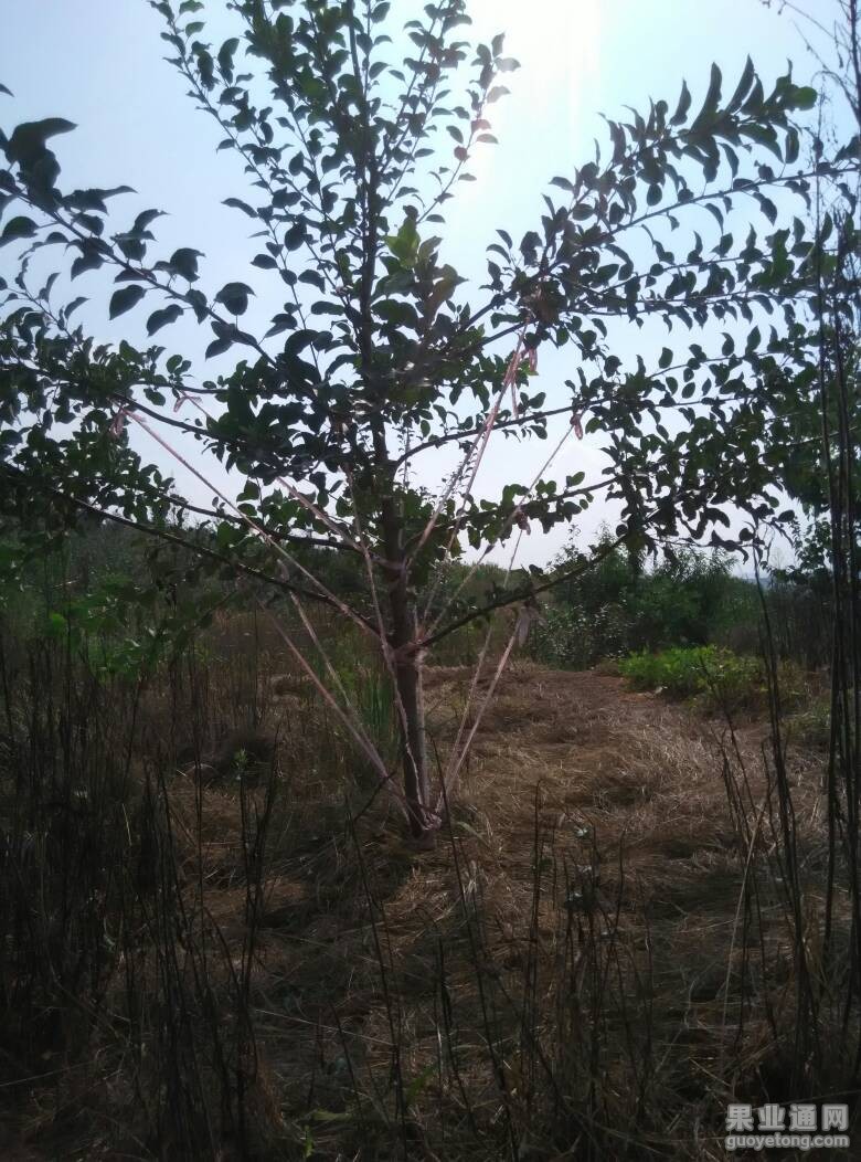 055320pc3g69vn6vpp3x71.jpg