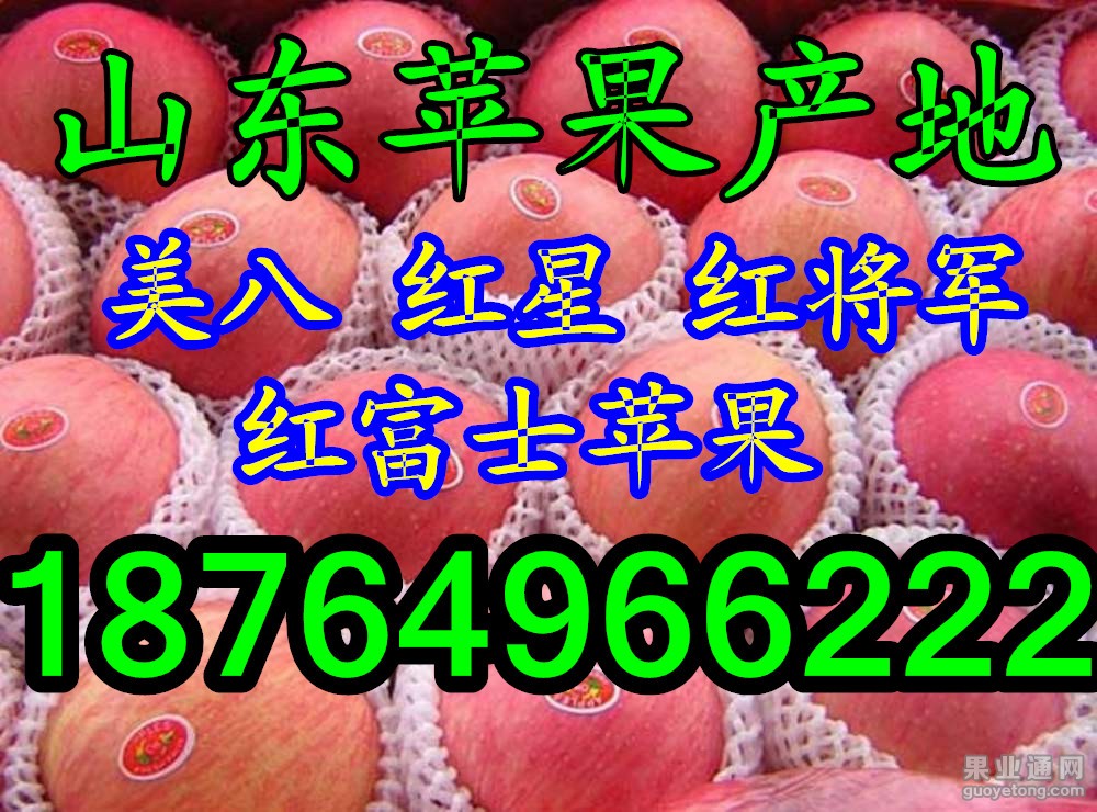 苹果。。网字.jpg