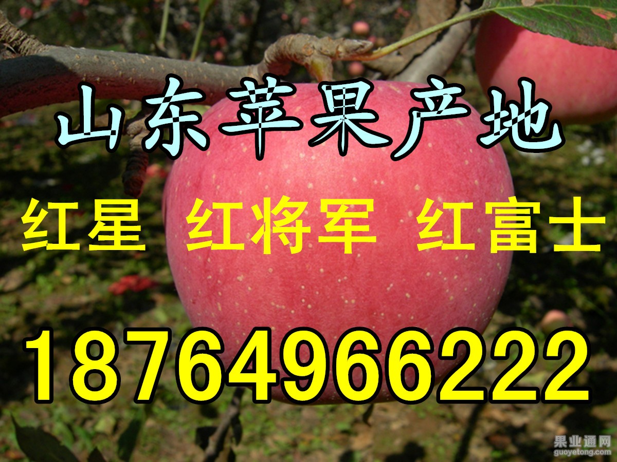 苹果。。。_副本.jpg