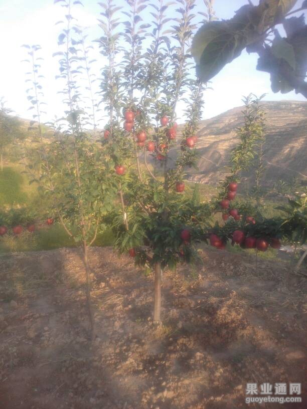 213028xbopcuq1ucqnqtou.jpg