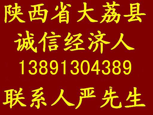 经纪人2.JPG