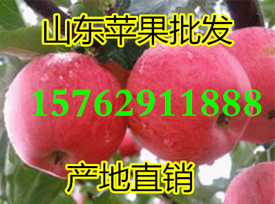 u=416476061,2577079292&amp;fm=21&amp;gp=0_副本.gif