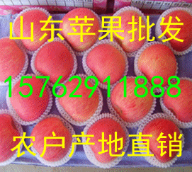 2011923937745061_副本.gif