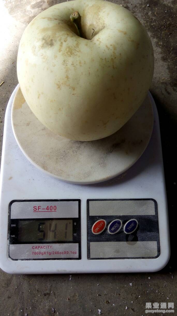100513rkik63kggsiznn4a.jpg