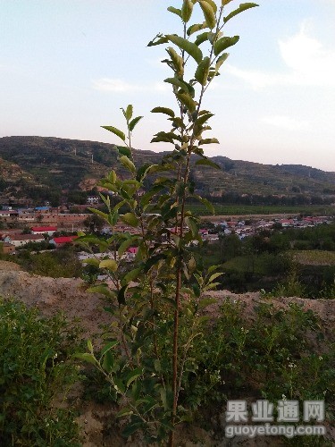 IMG20150902185740.jpg