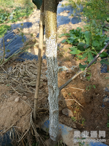 20150914_153938.jpg