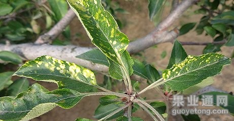 t017b7bbb94814d87e9.jpg