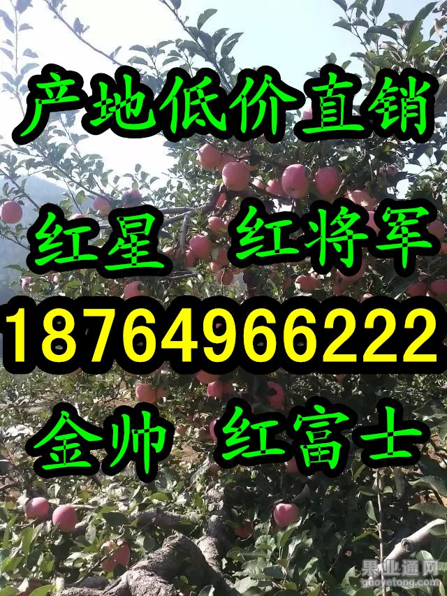 实图5_副本字.jpg