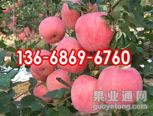 QQ图片20150901112817.jpg