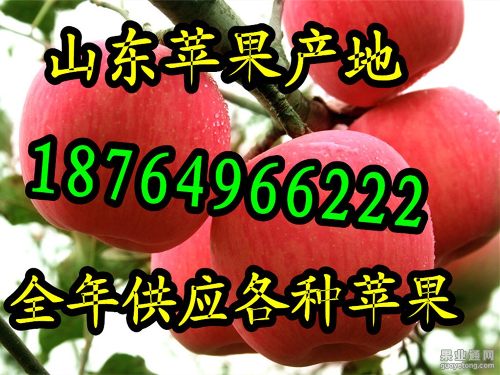 全年供应苹果_da大.jpg