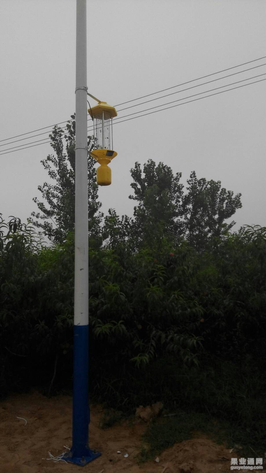 184026puiu1nouwguhjxuh.jpg