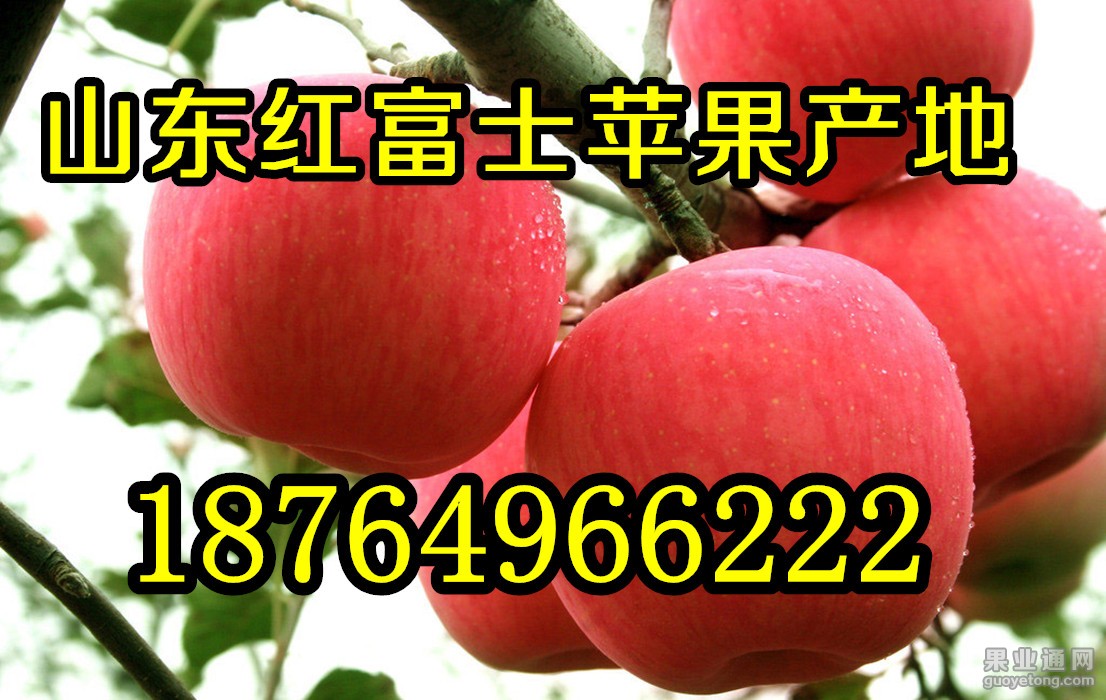 富士_字.jpg