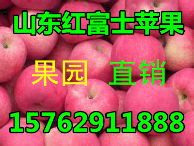 u=1953193425,3003188634&amp;fm=21&amp;gp=0_副本.gif