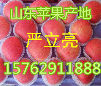 2011923937745061_副本.gif