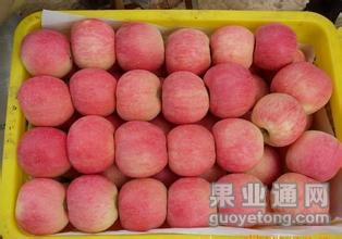 红富士2.jpg