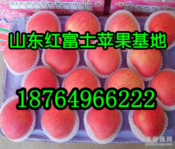 富士网1_字.jpg